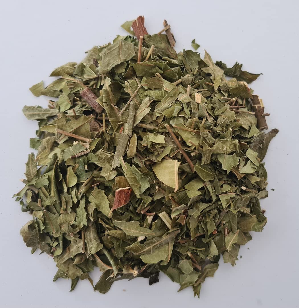 Neem Leaf Tea pure natural, Detox our body, wildcrafted selected process 1oz by RSJtrading. Explore More Products From Us By Using The Keyword "RSJ"