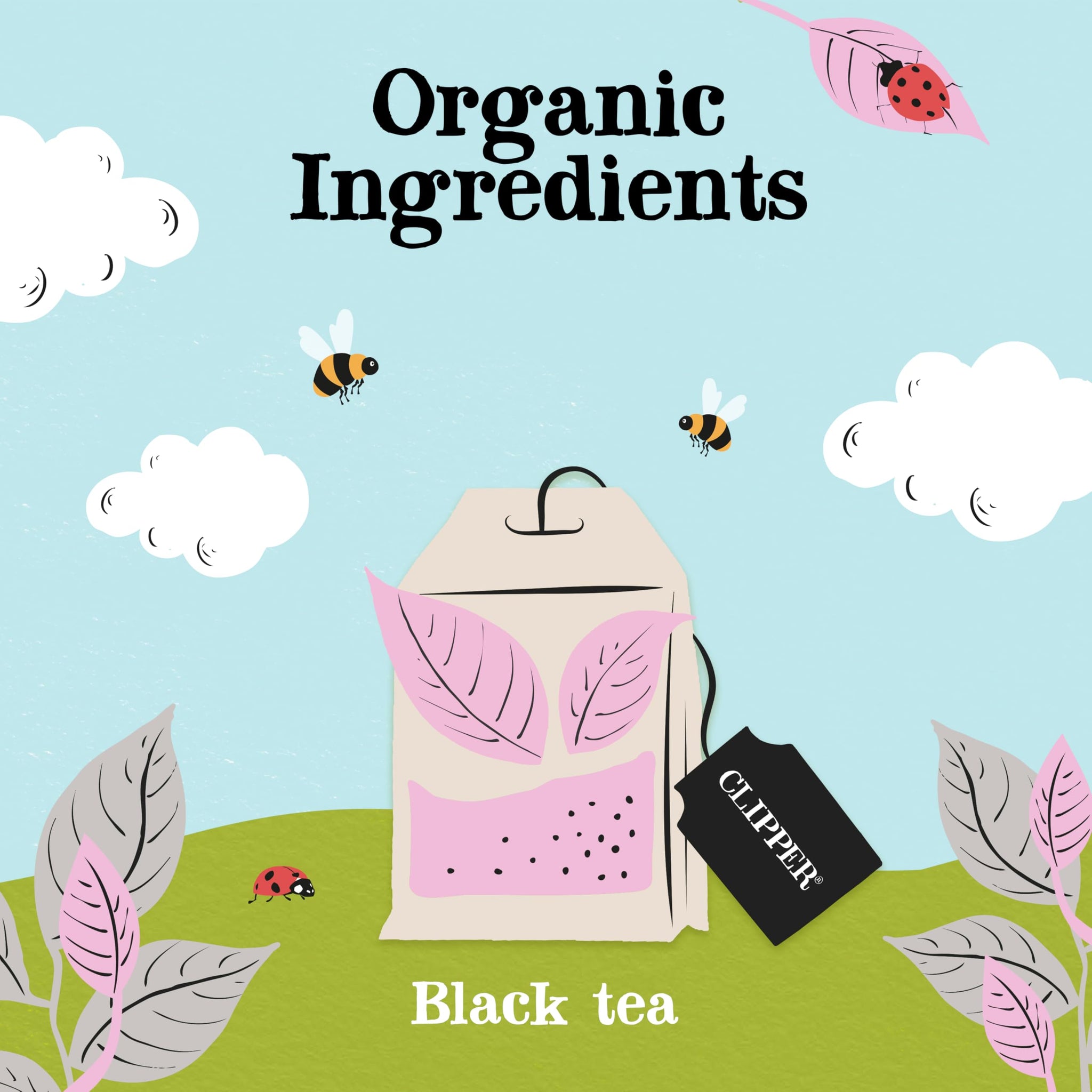 Clipper Tea Organic Earl Grey - USDA Organic, Non-GMO, Fair Trade, Sustainable Caffeinated Tea, 1 Pack, 20 Unbleached Tea Bags