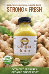 Ginger Juice by Annoor | 8.5 Fl Oz | NFC | Raw, Strong, Concentrate and No pulp. Use for Spicy, Zesty & warming kick, Soothing & refreshing ginger