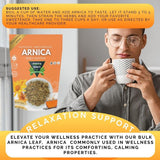 Arnica Herb Tea Bags, 2 Pack, 30+ Cups Each, 100% Natural