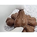 Chocolate Nuts Adult Novelty Candy, Party Favors for Bachelorette Celebrations