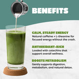 Harmony Leaf Blueberry Matcha Green Tea Powder, 35.3 oz, Makes ~80 Drinks, Flavored Matcha Latte Mix for Cafes