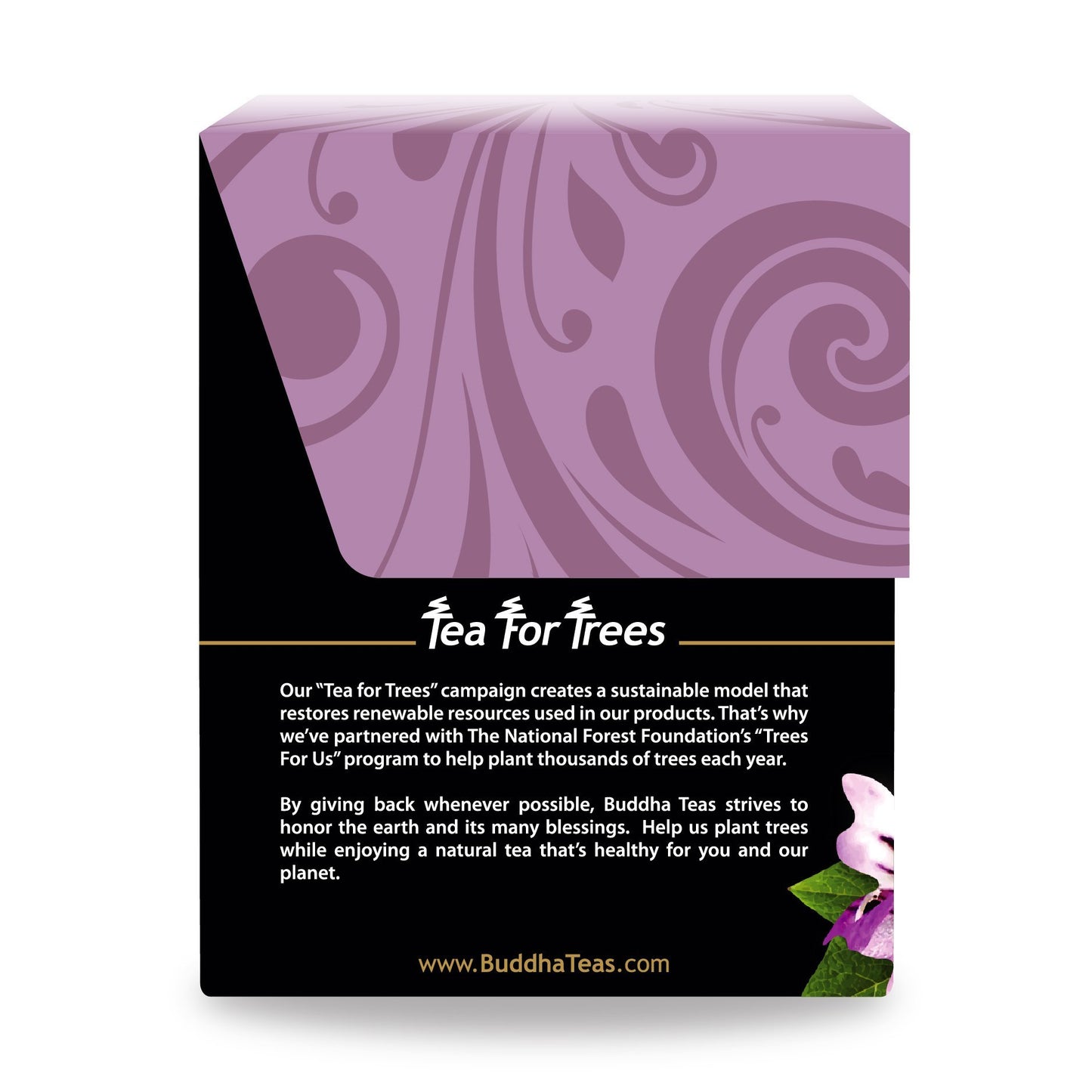 Buddha Teas Organic Eyebright Herb Tea - OU Kosher, USDA Organic, CCOF, 18 Bleach-Free Tea Bag