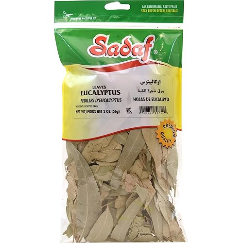 Sadaf Dried Eucalyptus Leaves - Aromatic & Decorative Use - For Home Décor, Showers & Simmer Pots - 2 oz Bag