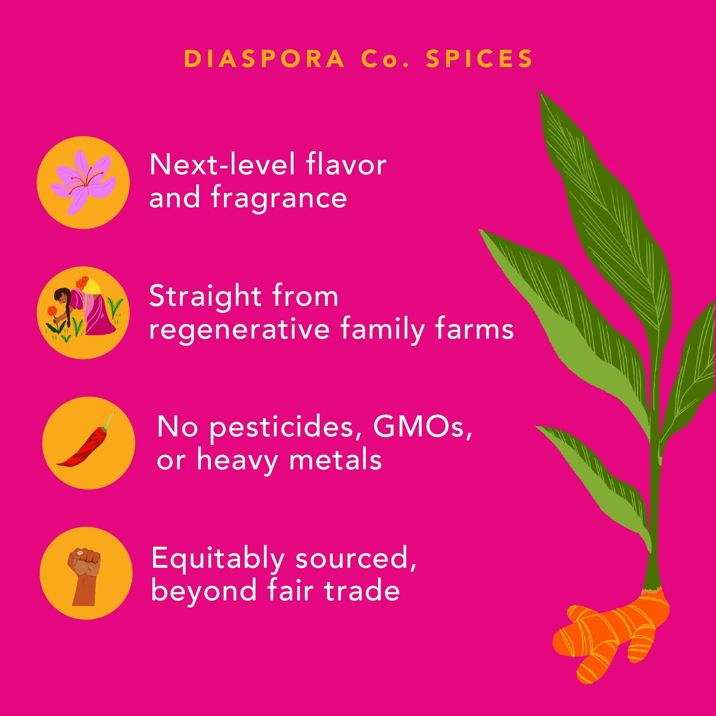 Diaspora Co., Pumpkin Spice Blend, 1.1 Ounce