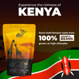 Dark Roast Whole Bean Coffee - Bold & Smooth Arabica for Espresso & Cold Brew - Fresh Roasted Specialty Coffee, Single Origin 300g Bag - Premium
