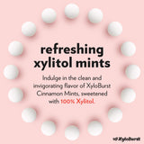 XyloBurst - Xylitol Mints | Sugar Free Breath Mints for Oral Health | Gluten Free, Vegan, Keto Friendly | Aspartame Free Mint | Cinnamon | 200 Count