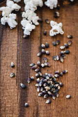 Amish Country Popcorn | 2-14 oz Bottles | Midnight Blue Popcorn Kernels | Old Fashioned, Non-GMO and Gluten Free (2-14 oz Bottles)