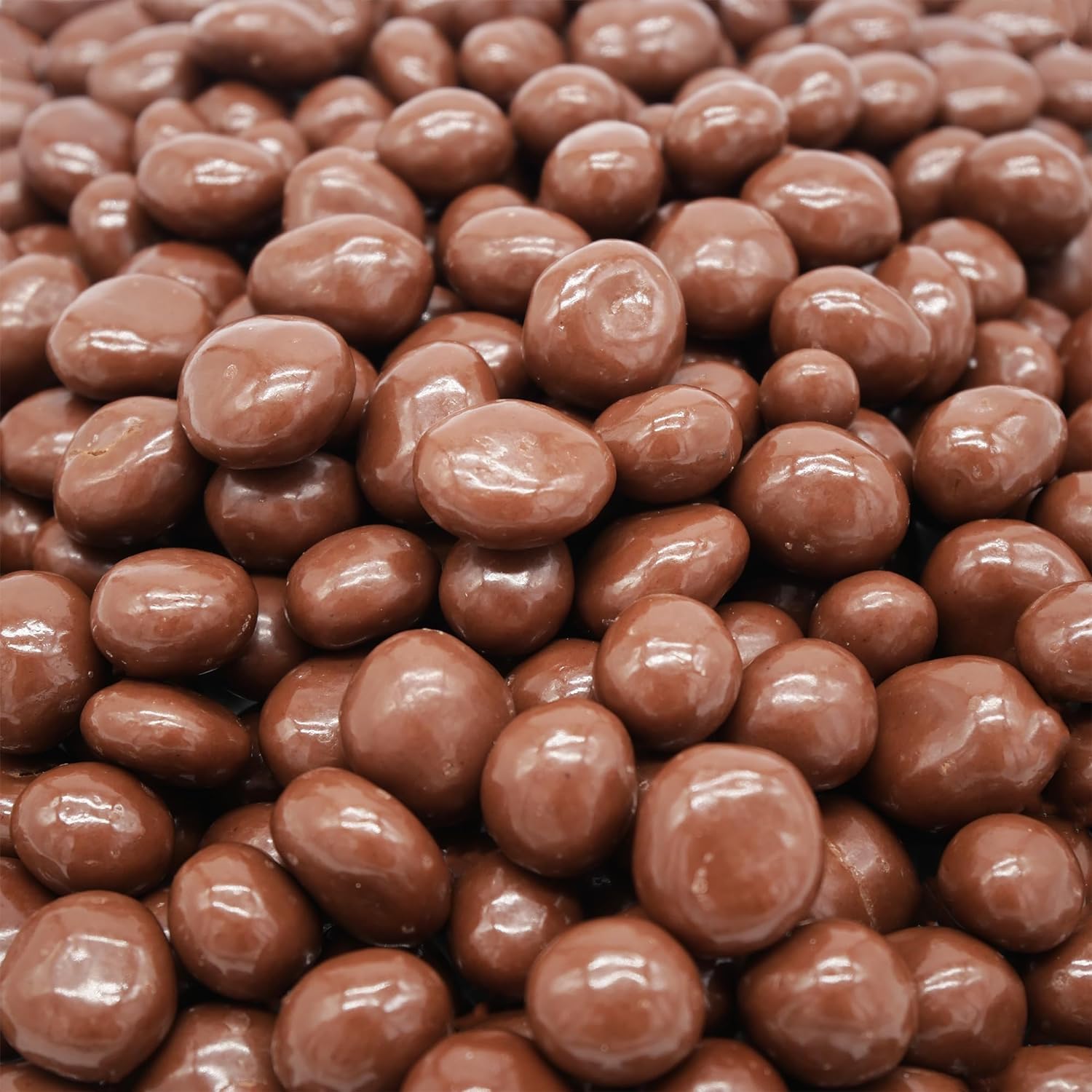 Hayden Valley Foods Milk Chocolate Covered Raisins | 26 oz Resealable Bag | No Artificial Flavors, Preservatives or Colors | Bulk Gourmet Sweet Fruit