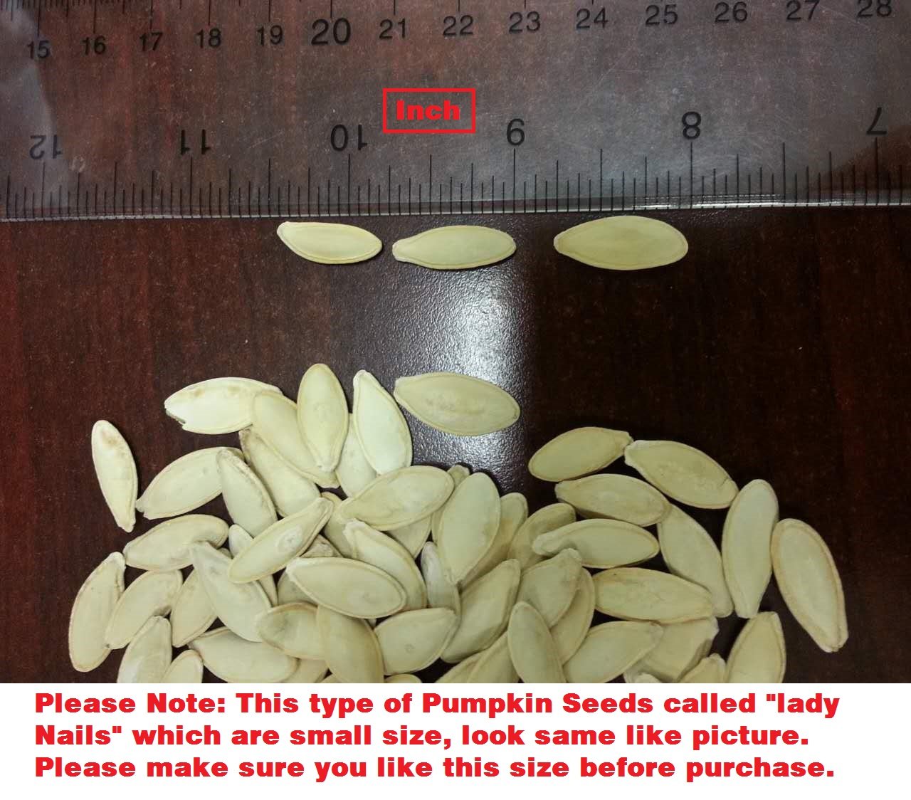ROASTED PUMPKIN SEEDS IN SHELL,SEA SALTED (2 LB)