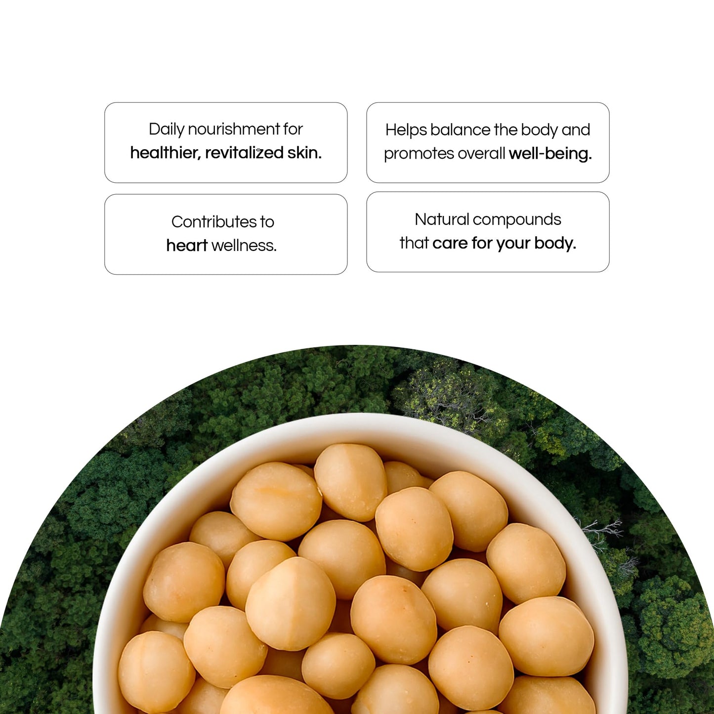 Macadamia Nuts 24 oz, Stand Up Pouch - Rich in Omega 3, Vitamins and Minerals - Natural Source of Skin and Well Being - Lightly Salted - Brazilian