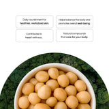 Macadamia Nuts 24 oz, Stand Up Pouch - Rich in Omega 3, Vitamins and Minerals - Natural Source of Skin and Well Being - Lightly Salted - Brazilian
