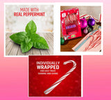 CANDY CANES (432 COUNT) - 36 PACK, Peppermint Candy Canes, Individually Wrapped Bulk Candy Canes, Christmas Candy, Stocking Stuffers for Kids, Holiday
