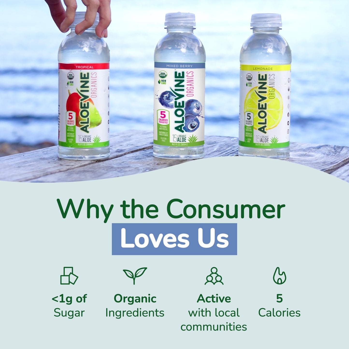Aloe Vera Juice, No-Pulp Organic Drink, Healthy with Aloe Powder and Lemon Juice, 5 Calories, Low Sugar, No Artificial Ingredients, 16.9 oz, 12 Pack