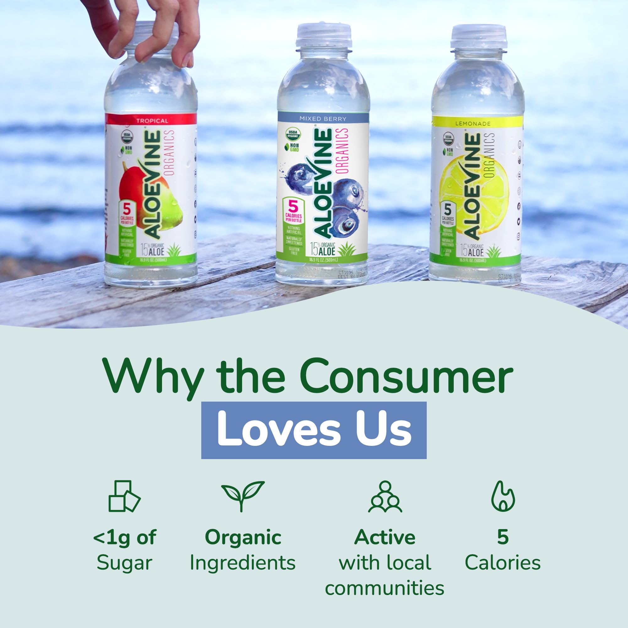Aloe Vera Juice, No-Pulp Organic Drink, Healthy with Aloe Powder and Lemon Juice, 5 Calories, Low Sugar, No Artificial Ingredients, 16.9 oz, 12 Pack