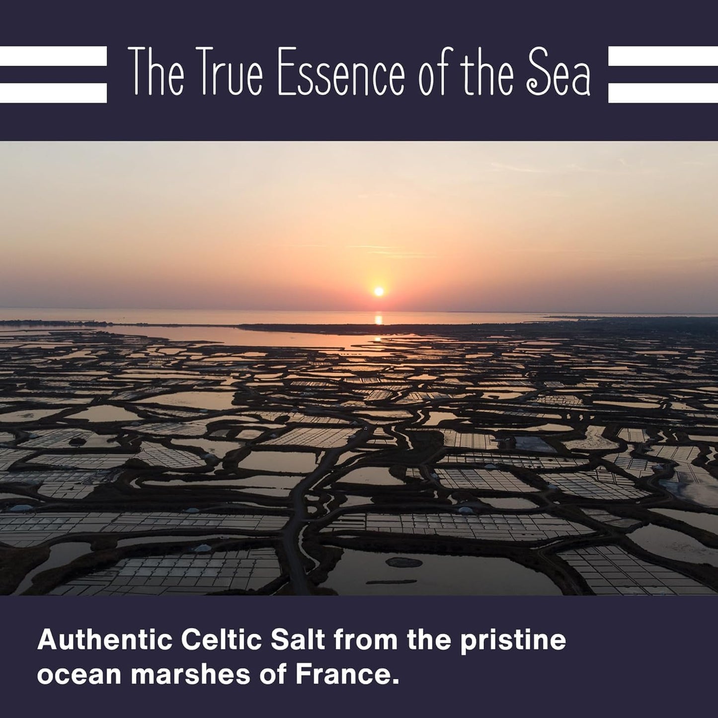 Le Marinier Celtic Salt Organic Fine Ground, 1 lb - 16oz. Mineral Rich 100% Natural and Unrefined. Refillable Salt Shaker. French Sea Salt with Vital