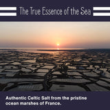 Le Marinier Celtic Salt Organic Fine Ground, 1 lb - 16oz. Mineral Rich 100% Natural and Unrefined. Refillable Salt Shaker. French Sea Salt with Vital