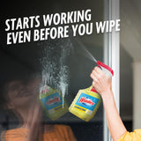 Windex Multipurpose Cleaner Disinfectant Spray Bottle, Fast Clean Surface Cleaner, Citrus Scent, 23 Fl oz