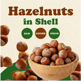 Food to Live Hazelnuts in Shell, 6 Pounds - Oregon Whole Filberts for Snacking Baking and Crafts, Unsalted, Unroasted, Keto, Vegan, Kosher, Bulk Nuts