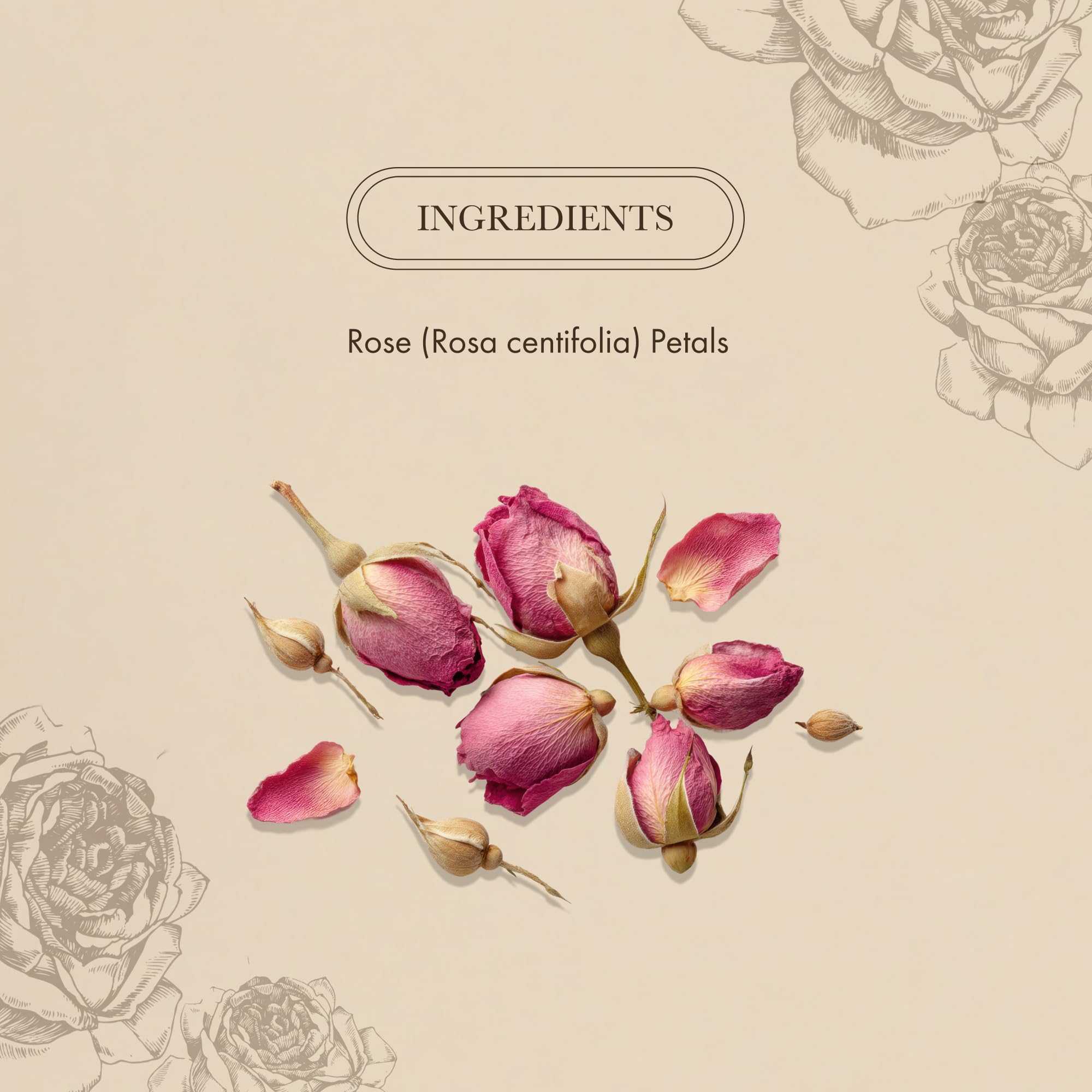 Anima Mundi Apothecary Love + Serenity Rose Petal Powder - with Edible Dried Rose Petals & Buds - for Heart Chakra - Fluffy, Aromatic Blend for Teas
