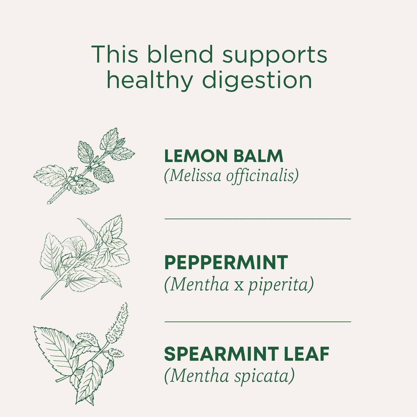 Traditional Medicinals Tea, Organic Triple Mint - Supports Healthy Digestion - Kosher, Non-GMO, Caffeine-Free - 16 Tea Bags