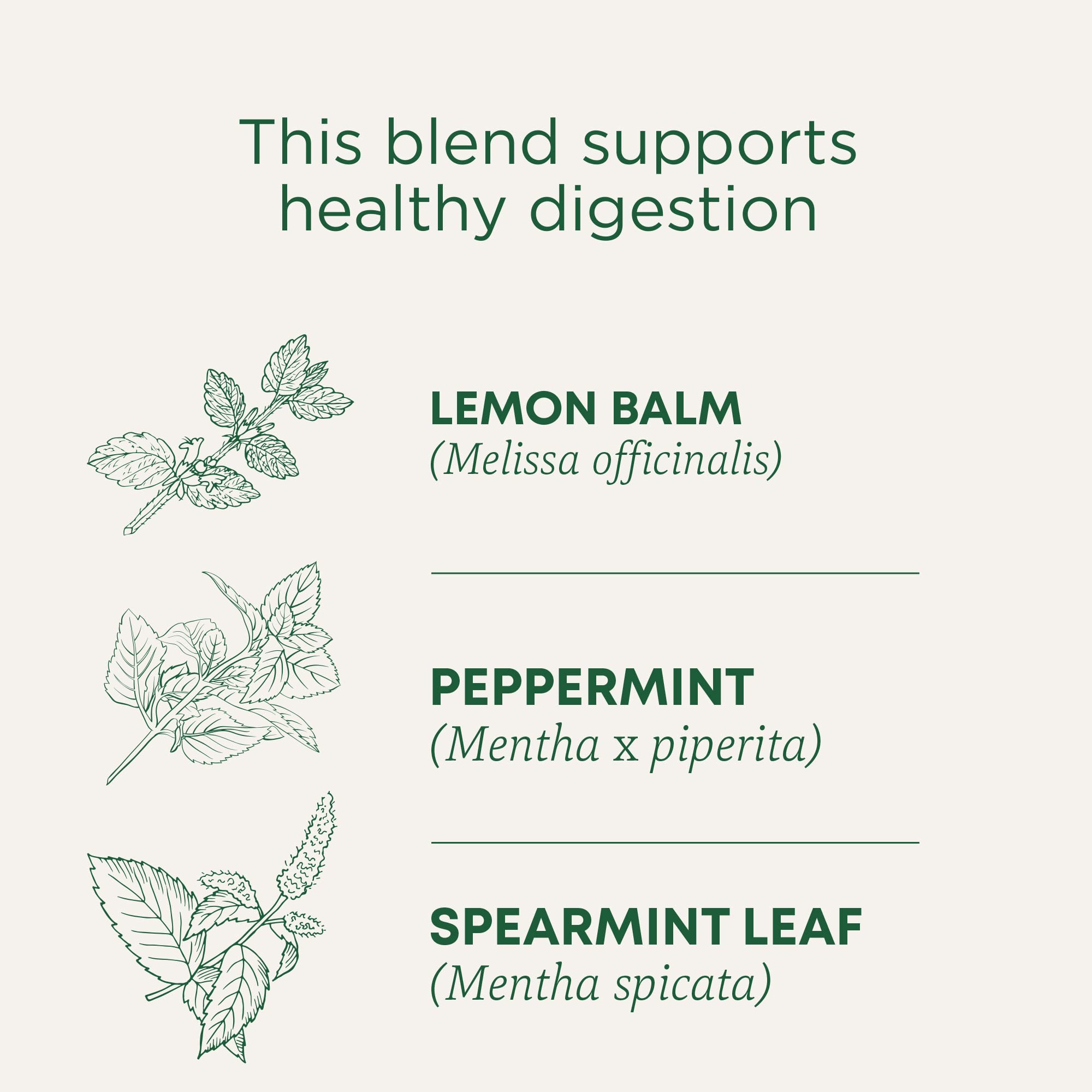 Traditional Medicinals Tea, Organic Triple Mint - Supports Healthy Digestion - Kosher, Non-GMO, Caffeine-Free - 16 Tea Bags