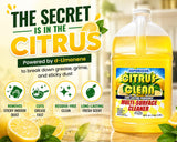 Superlosa Citrus Clean Multi-Surface Cleaner