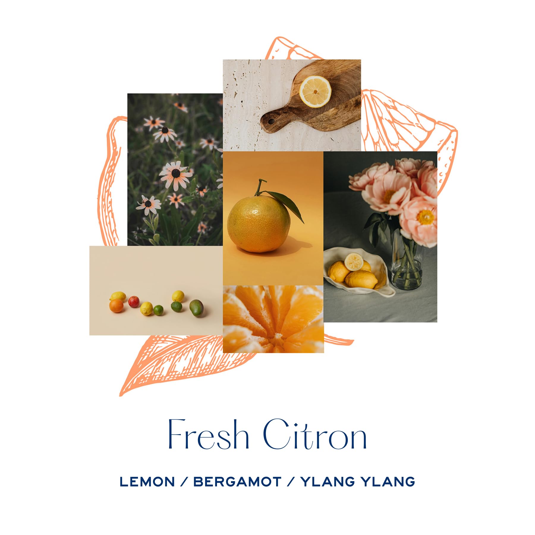 MERSEA Luxury Room Spray, Fresh Citron, 4 oz