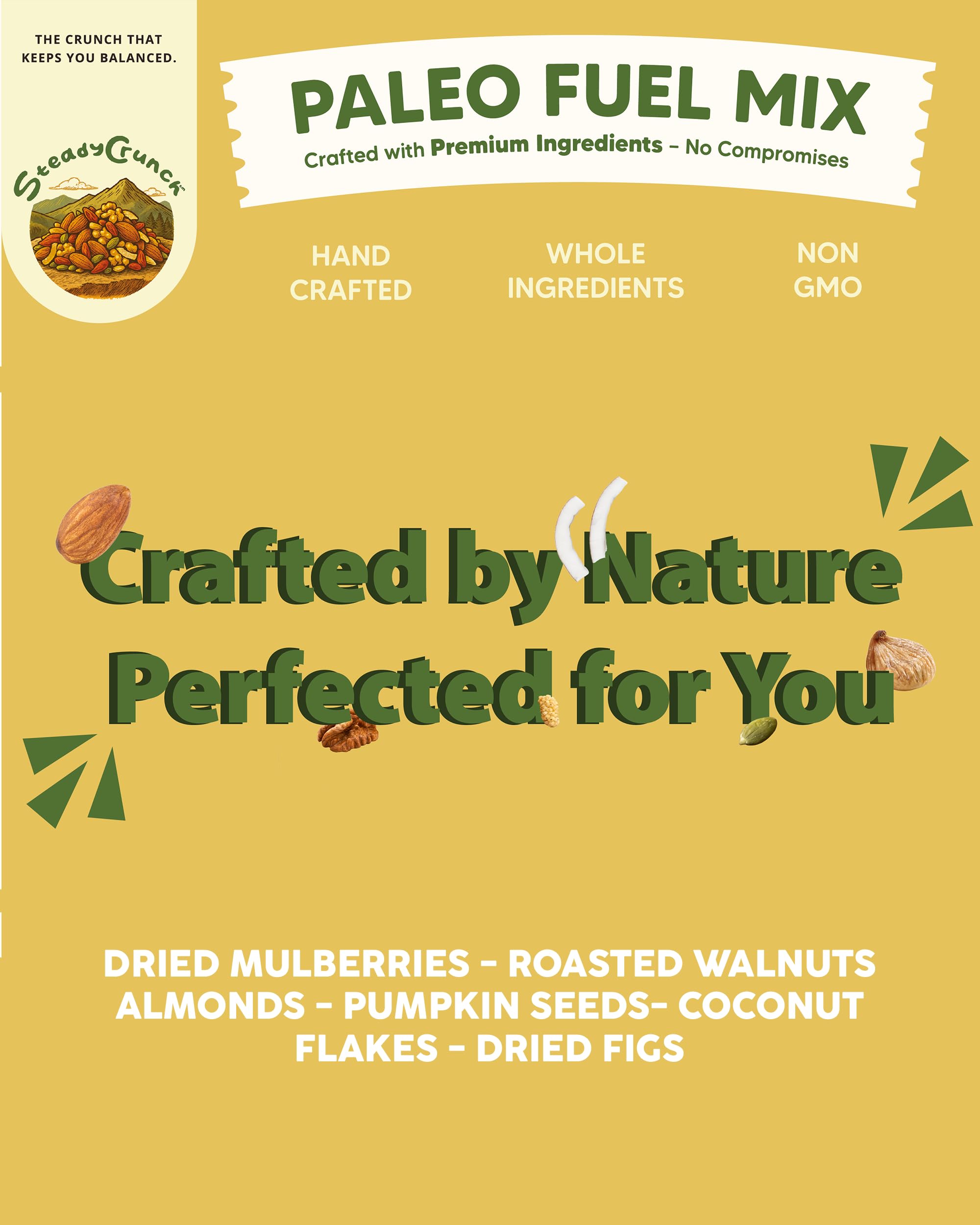 SteadyCrunch Paleo Fuel Trail Mix - Non-GMO & Gluten Free Healthy Snacks - Vegan Mixed Nuts and Dried Fruit Snack Packs - Walnuts, Almonds & Fig