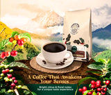 Samarian Coffee Medium Roast - Colombian Single-Origin Arabica - Specialty Ground Coffee with Citrus & Floral Notes - Smooth & Aromatic - For Pour