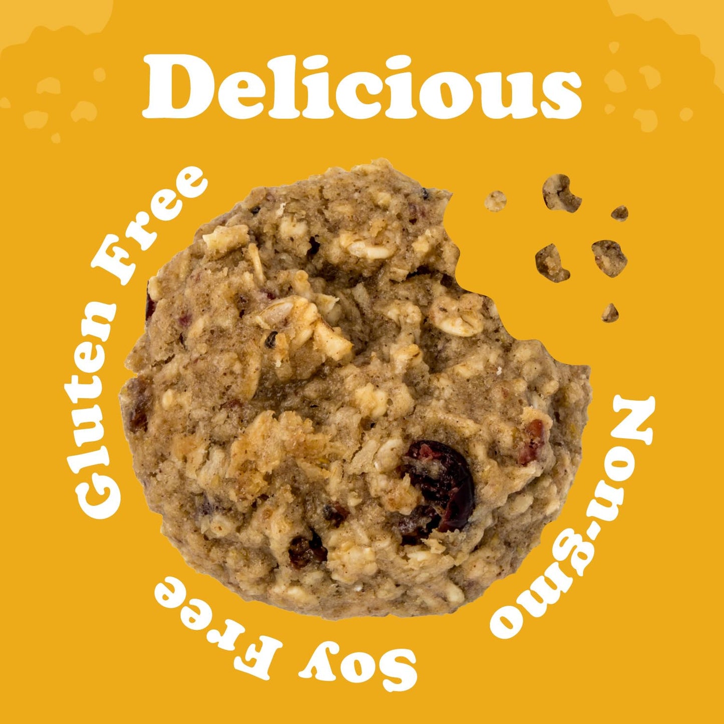 Alyssa’s Vegan Oatmeal Bites ? Gluten Free Cookies, Healthy Snacks from the Bakery ? Dairy Free, Sugar Free, Low Carb, Keto Protein Snacks ? Gluten