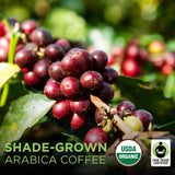 Tiny Footprint Coffee - Nicaragua Segovia, Dark Roast, USDA Organic Coffee - Shade Grown, Fair Trade Certified & Carbon Negative - Ground Coffee, 16