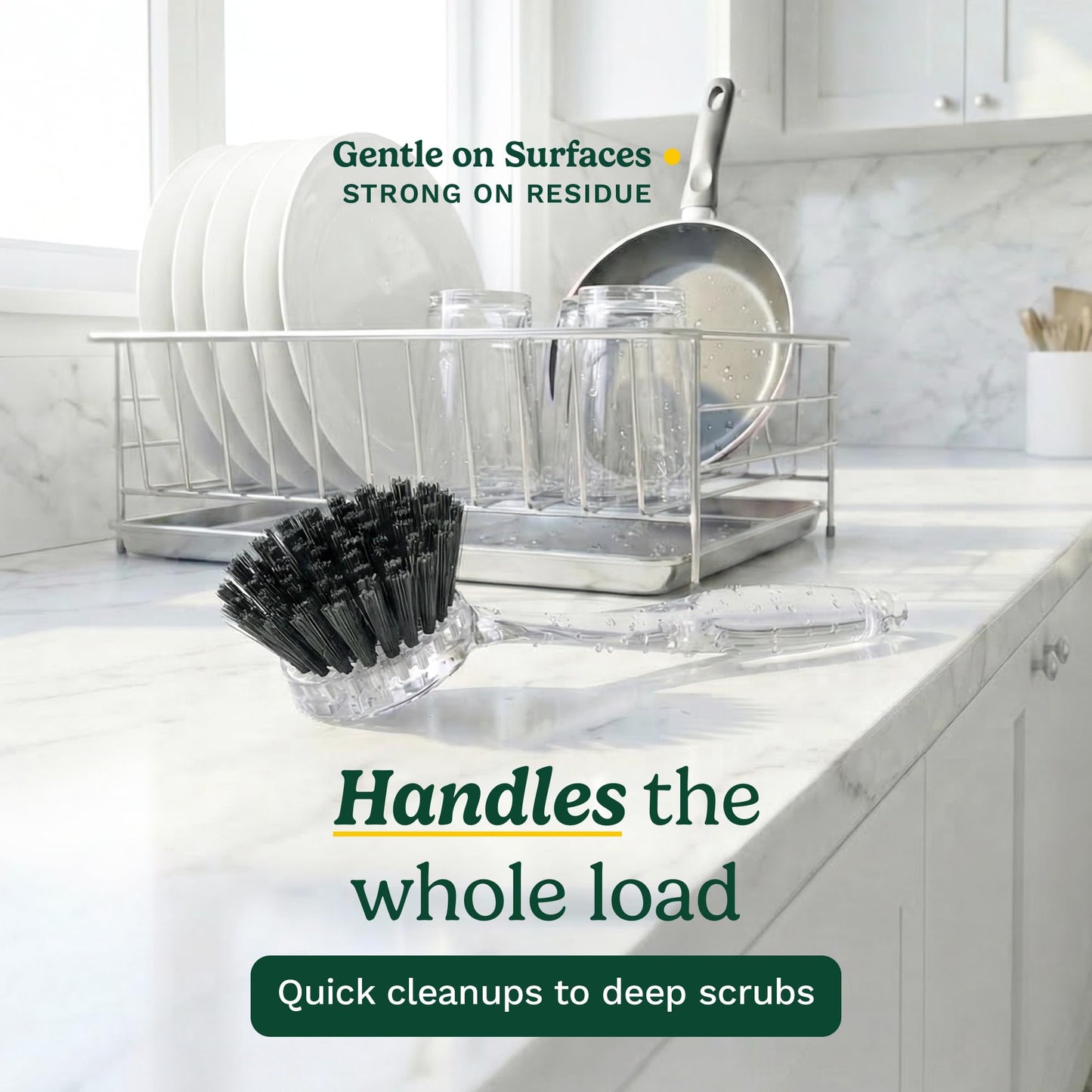 Cuisinart Dish Brush with Handle 2 Pack - Kitchen Scrub Brush for Dishes, Pots & Pans, Non-Scratch Dish Scrubber, Firm Bristles for Sink & Cookware