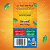 Twinings Winter Spice Herbal Tea - Camomile with Apple, Cinnamon, Cardamom, Cloves, Caffeine-Free Tea Bags Individually Wrapped, 20 Count (Pack of 2)