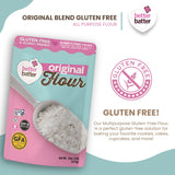 Better Batter Original Blend Multipurpose Certified Gluten-Free Flour, Top 9 Allergen Free, Cup for Cup Baking Alternative to Ordinary Flour 1LB Pouch