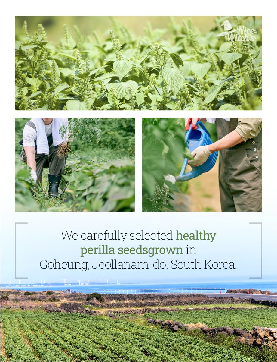 NICE WITCH'S Korean 100% Peeled Perilla Seeds Powder Flour 300g (10.5 oz) / ??? ?? ????