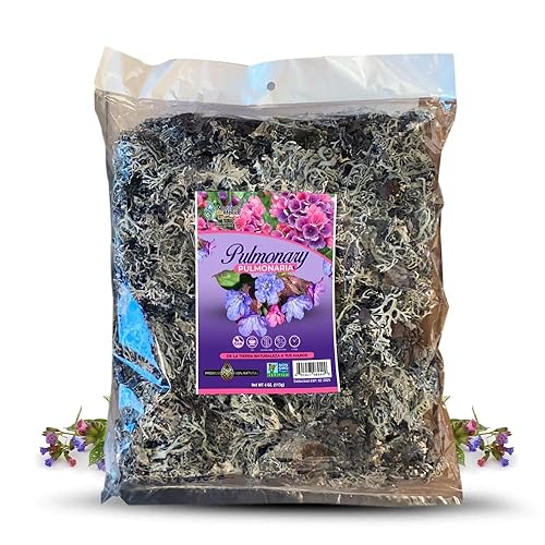 Pulmonaria Hierba Tea 4 oz. 113 gr. Pulmonary Lungwort