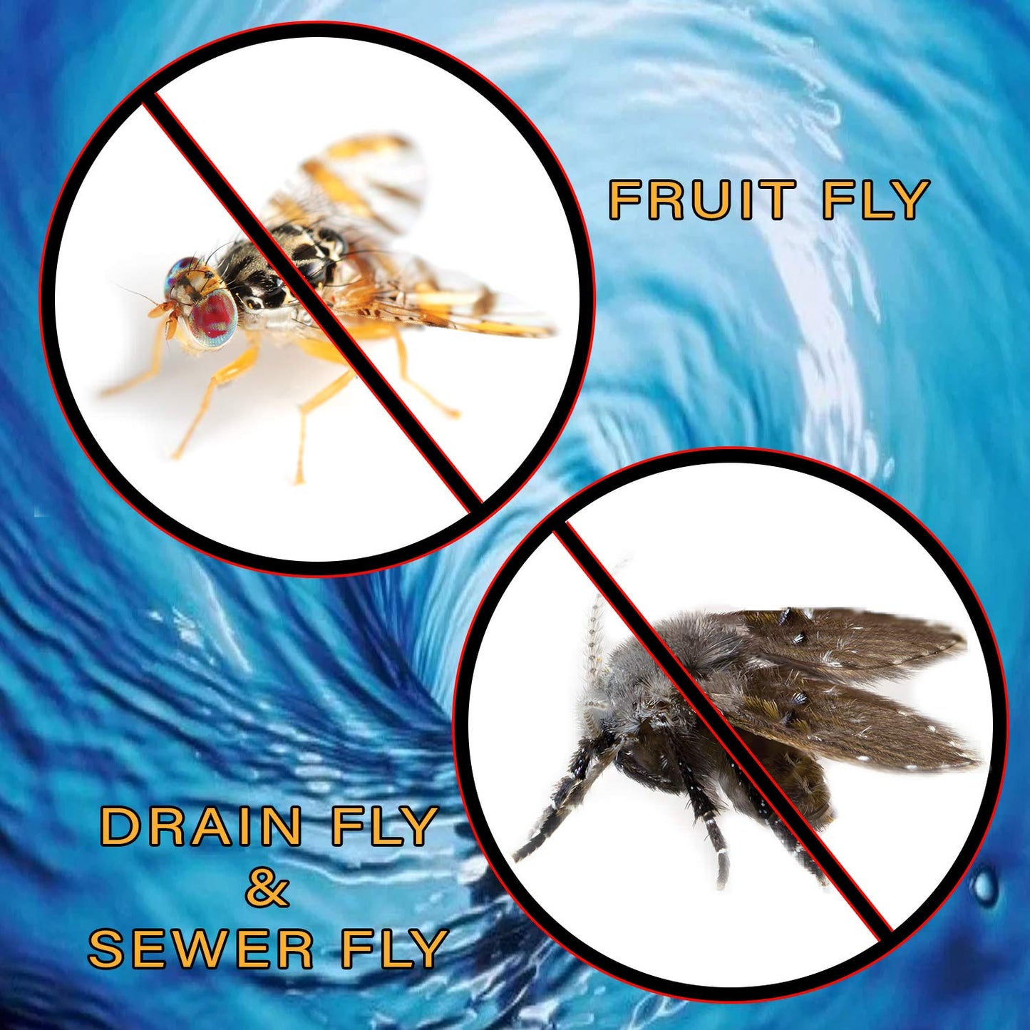Fruit Fly & Drain Fly Killer - Commercial Gel Treatment - Eliminates Fly & Gnat Infestations - 1 Gallon