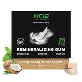 Remineralizing Gum with Nano Hydroxyapatite - Sugar-Free Xylitol Gum - Plastic-Free, Dye-Free, Aspartame-Free - Natural Base -26 Pieces, Mastic Mint