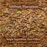 Cardo Mariano Mexican Herbal Tea - 4 oz (113g) - Authentic 100% Natural Milk Thistle Loose Leaf Tea - Wildcrafted, Non-GMO & Caffeine-Free