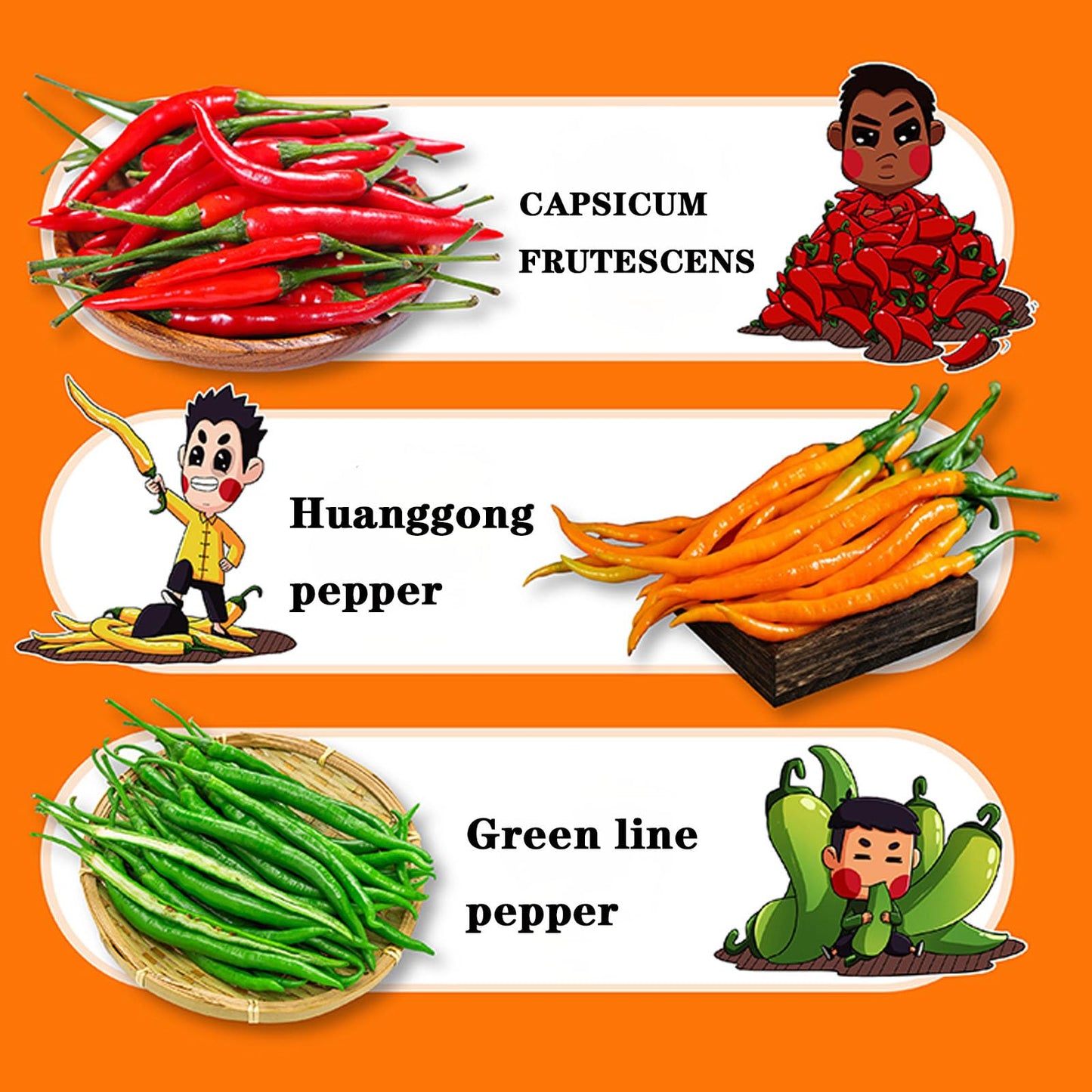 QIXINLIZYY Hunan specialty colored chili sauce 248g/can, chopped garlic chili sauce, pepper, seasoning, crispy chili, mixed noodle chili, convenient