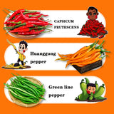 QIXINLIZYY Hunan specialty colored chili sauce 248g/can, chopped garlic chili sauce, pepper, seasoning, crispy chili, mixed noodle chili, convenient