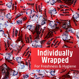 Sugar Free Cinnamon Hard Candy, 1lb Pack of Hard Candies Individually Wrapped, Great Tasting Sugar Free Candy Bulk Option, Traditional Cinnamon Hard