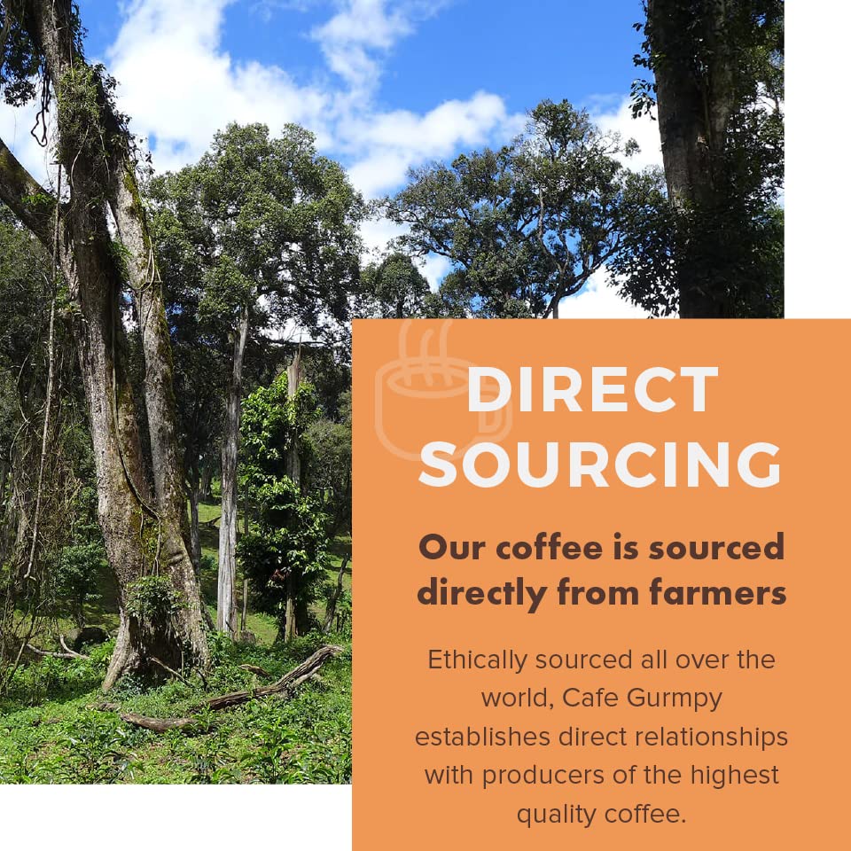 Café Grumpy Ethiopia Yirgacheffe Single Origin Whole Coffee Beans, 12 oz Bag Farm to Table Medium Roast, French Press Pour Over Cold Brew Drip