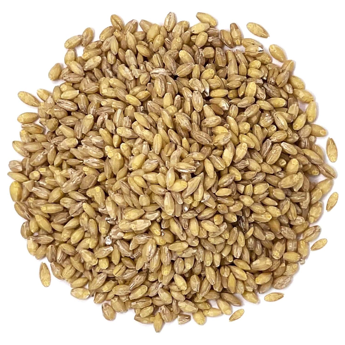 Food to Live Organic Hulled Barley, 2 Pounds - Non-GMO, 100% Whole Grain, Kosher, Vegan, Bulk. Suited for Home Brewing, Grinding. High in Fiber. Great for Chili, Hot Cereal, Salads, Soup.