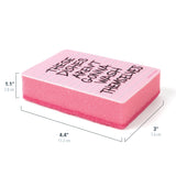 Genuine Fred Clean Conscience Kitchen Sponges - Set of 2 Passive-Aggressive Dish Sponges with Funny Notes - Multi-Layer Scrubbers for Dishes and Mess