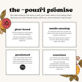 Poo-Pourri Before-You-Go Toilet Spray, Hollyday Spice, 2 Fl Oz - Cranberry, Cinnamon, and Balsam Fir, 1 Count (Pack of 1)