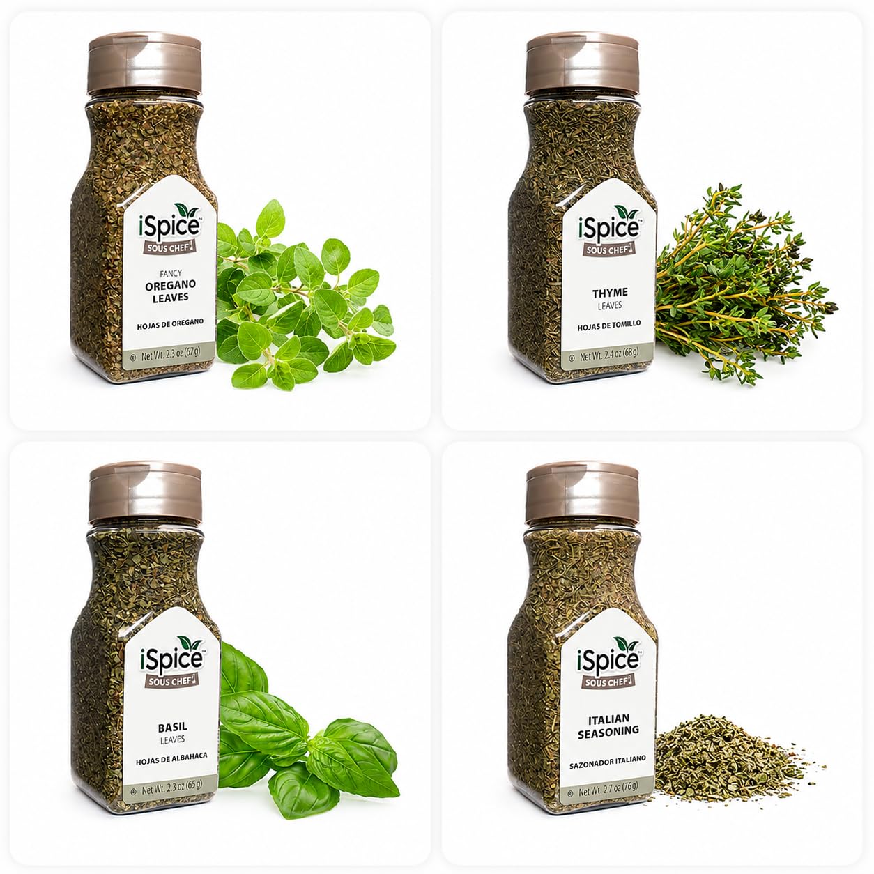 iSpice Starter Spice Set- Seasonings for Cooking - 24 Pack Starter Spice Gift Set | Silk Road