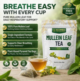 Respira Botanicals - Mullein Leaf Tea Bags for Lungs Cleanse and Respiratory Support, Plastic-Free, Plant-Based Tea Bags, Caffeine-Free, No Additives