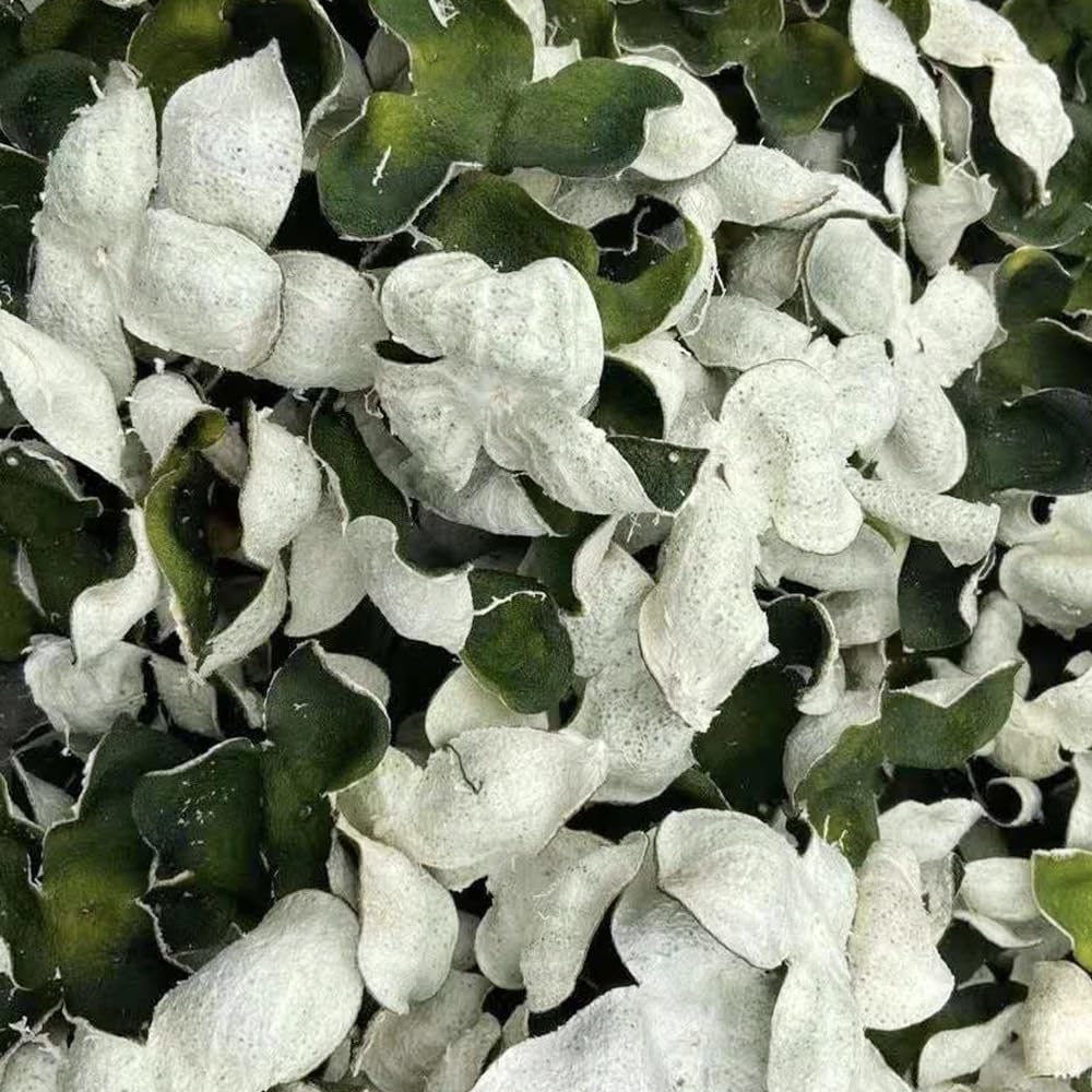 Zercumm Xin Hui Tangerine Peel Big Green Peel 500G Sanjiang Citrus Peel